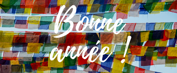 Manoj vous souhaite une bonne année 2021 !